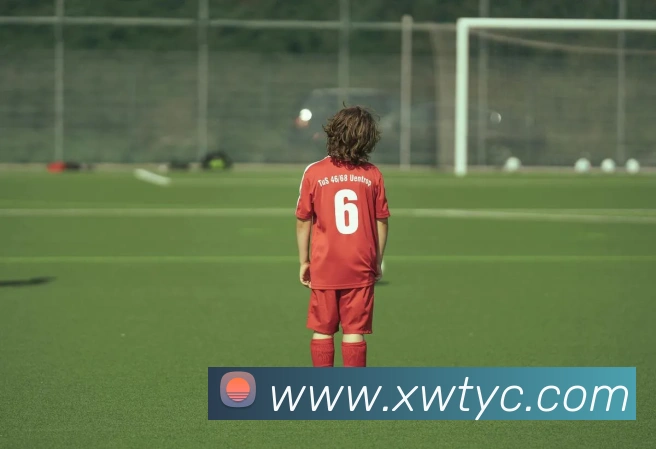 太阳城网站平台生态图